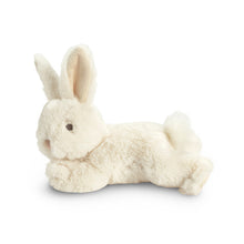 Load image into Gallery viewer, You Belong Here Bunny Plush