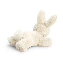 Load image into Gallery viewer, You Belong Here Bunny Plush