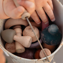 Load image into Gallery viewer, Silicone Mushroom Toy Set