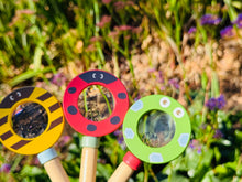 Load image into Gallery viewer, Wooden Magnifying Glass-Bee, Frog and Ladybug