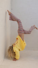 Load image into Gallery viewer, Fairy Bread Flares