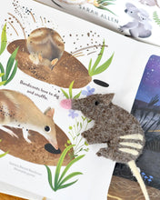 Load image into Gallery viewer, Jumping Joeys Finger Puppets and Book Set by Sarah Allen