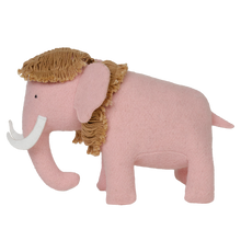 Load image into Gallery viewer, Holdie Extinct Animals