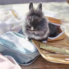 Load image into Gallery viewer, See-ya Wash Bag - Steel Blue