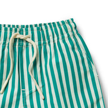 Load image into Gallery viewer, Green Bean Stripe Swim Board Short