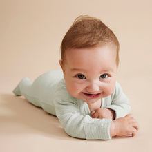 Load image into Gallery viewer, Organic Stripe Rib Zipsuit with Feet Fern