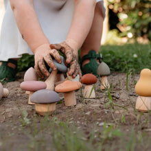 Load image into Gallery viewer, Silicone Mushroom Toy Set