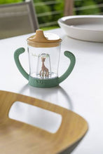 Load image into Gallery viewer, IEUF Non-Spill Cup