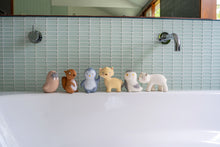 Load image into Gallery viewer, Rubber Squirrel Arctic Animal