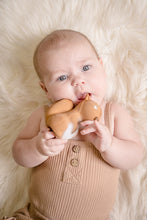 Load image into Gallery viewer, Rubber Squirrel Arctic Animal