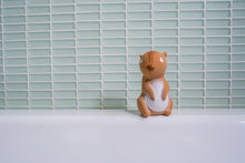 Load image into Gallery viewer, Rubber Squirrel Arctic Animal