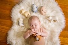 Load image into Gallery viewer, Rubber Squirrel Arctic Animal