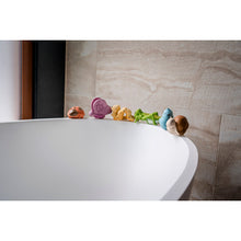 Load image into Gallery viewer, My First Garden Friends