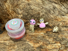 Load image into Gallery viewer, Nature Art Set