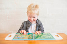 Load image into Gallery viewer, Magna Carry - Dino World