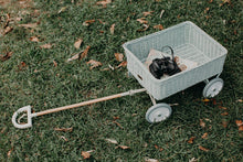 Load image into Gallery viewer, Rattan Wonder Wagon - Vintage Blue