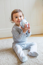 Load image into Gallery viewer, Roly Poly Koala