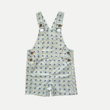 Load image into Gallery viewer, Baby Boys Roy Dungaree - Coastal Anchors
