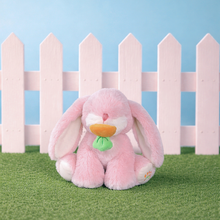 Load image into Gallery viewer, Binky Bunny - Dot
