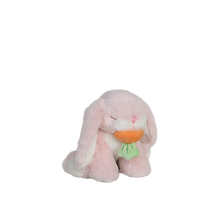 Load image into Gallery viewer, Binky Bunny - Dot
