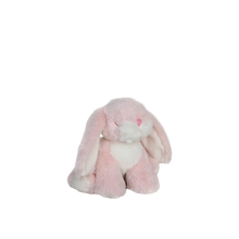 Load image into Gallery viewer, Binky Bunny - Dot
