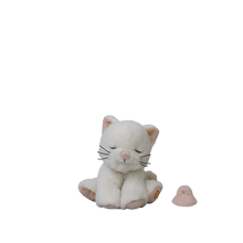 Load image into Gallery viewer, Binky Kitten Kiki
