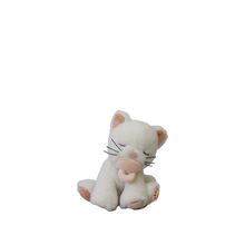 Load image into Gallery viewer, Binky Kitten Kiki
