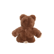 Load image into Gallery viewer, Cozy Day Dinkum - Bobby Bear
