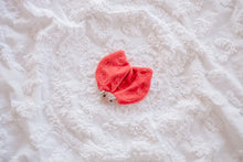 Load image into Gallery viewer, Ladybug Scrunchie Toy
