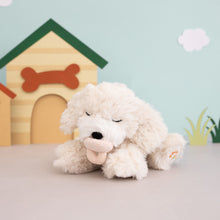 Load image into Gallery viewer, Binky Puppy - Belle
