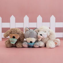 Load image into Gallery viewer, Binky Puppy - Belle
