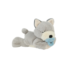 Load image into Gallery viewer, Binky Puppy - Banjo
