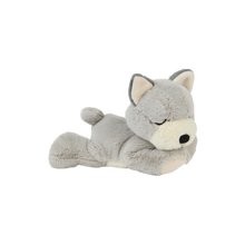 Load image into Gallery viewer, Binky Puppy - Banjo
