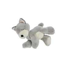 Load image into Gallery viewer, Binky Puppy - Banjo
