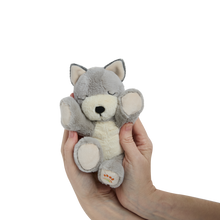 Load image into Gallery viewer, Binky Puppy - Banjo
