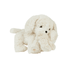 Load image into Gallery viewer, Binky Puppy - Belle
