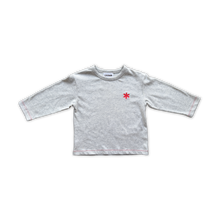 Load image into Gallery viewer, Organic Have A Nice Day LS Tee - Grey Marle
