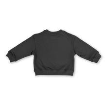 Load image into Gallery viewer, Parrot Fish Jumper - Ash
