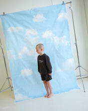 Load image into Gallery viewer, Parrot Fish Jumper - Ash
