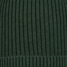 Load image into Gallery viewer, Organic Beanie Tommy Pine
