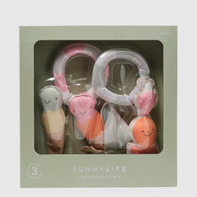 Load image into Gallery viewer, Dive Buddies Cotton Candy Multi Set of 6
