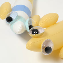 Load image into Gallery viewer, Kids Inflatable Noodle Finn the Fish Multi Set of 2
