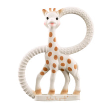 Load image into Gallery viewer, Sophisticated The Teether Set
