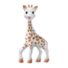 Load image into Gallery viewer, Sophisticated The Teether Set
