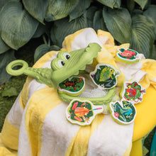 Load image into Gallery viewer, Croc Chasey - Catch A Frog
