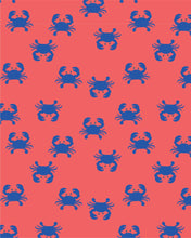 Load image into Gallery viewer, Reusable Swim Nappy Pirate Mud Crabs
