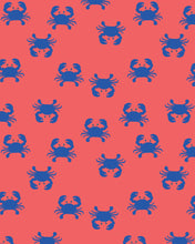 Load image into Gallery viewer, Swim Flap Cap Pirate Mud Crabs
