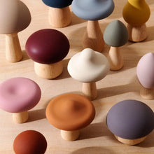Load image into Gallery viewer, Silicone Mushroom Toy Set
