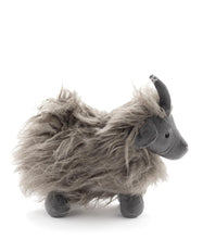 Load image into Gallery viewer, Aiden the Angora Goat
