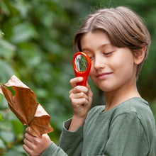 Load image into Gallery viewer, Explorer Magnifying Glass
